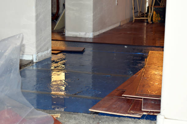 Professional Water Damage technician working in Berkley, MA
